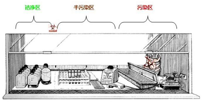生物安全柜,蘇州凈化